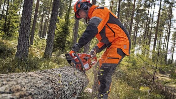 ANNUNCIO ACQUISIZIONE CANDIDATURE PER LAVORATORI IDRAULICO FORESTALI